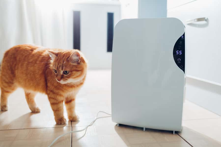 best dehumidifier