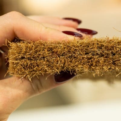 Coir Mattress
